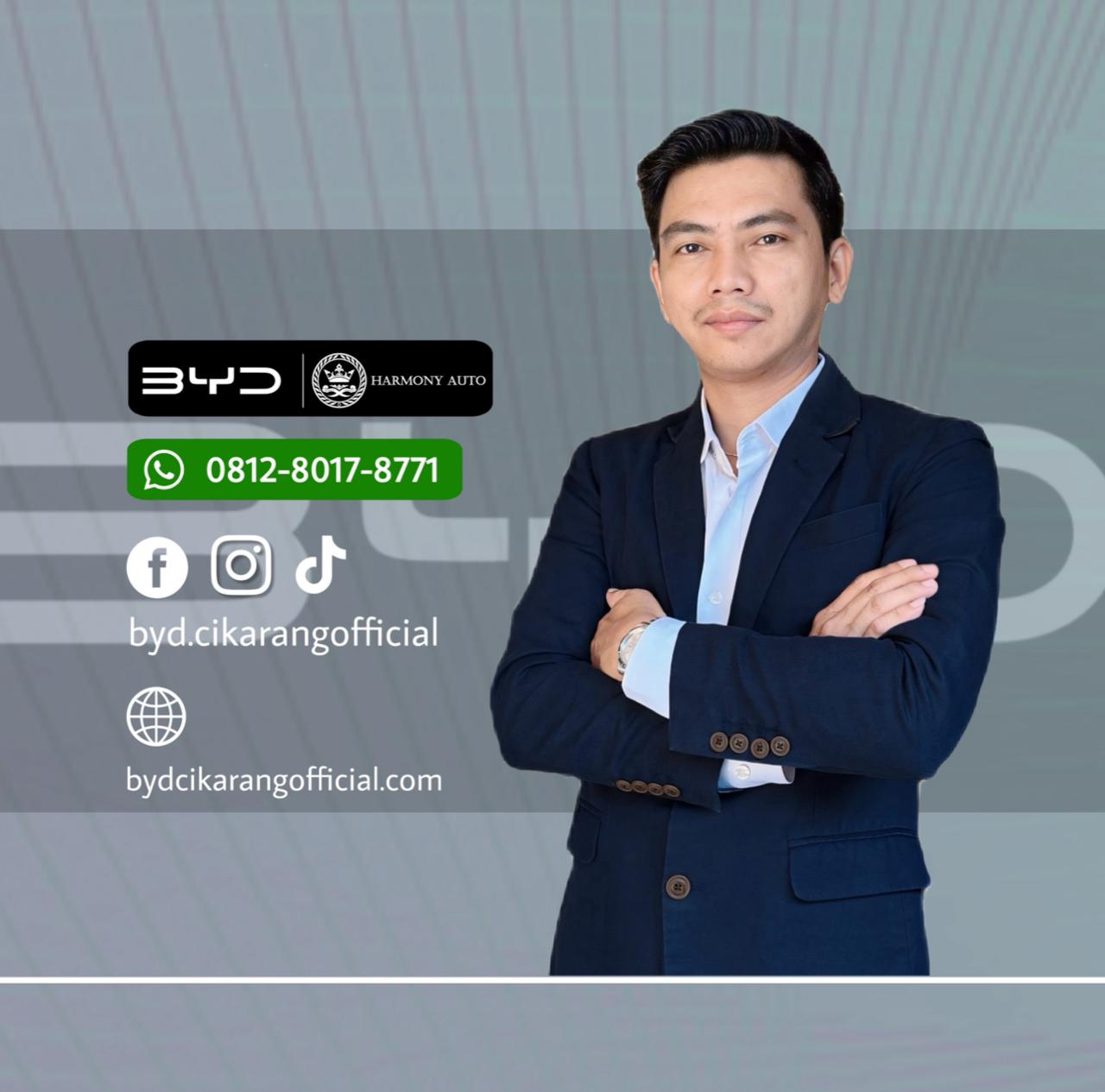 Teddy - Brand Consultant